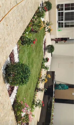 صيانة وتنسيق الحدائق 