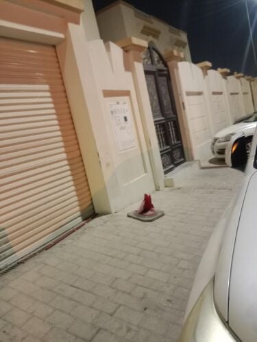 محمد