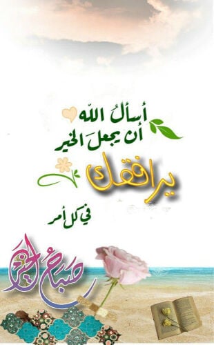 للتوصيل بالدوحه ونواحيها 