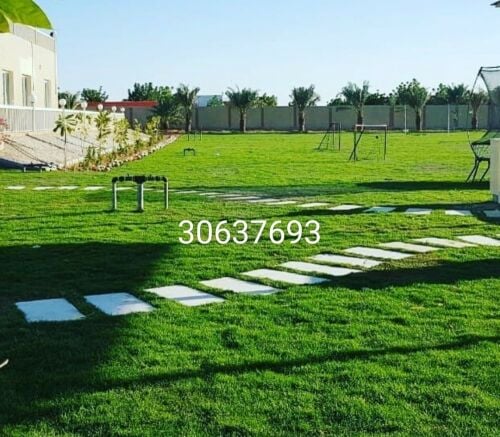 ممرات