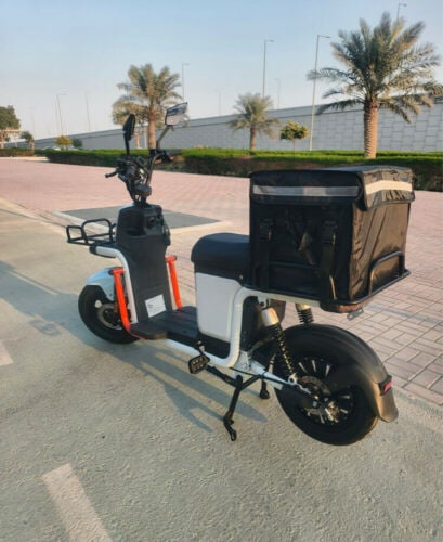 Electric scooter 