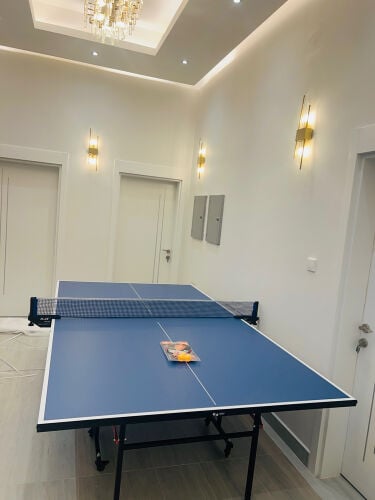 table tennis 