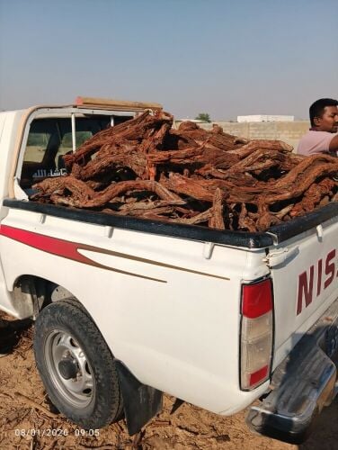 جميع انواع الحطب