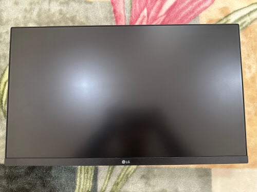 LG 24-Inch Monitor