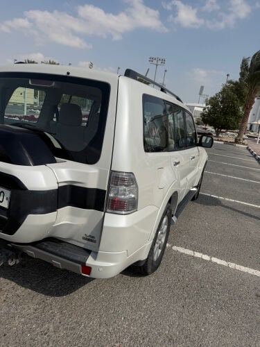 ممتازة صبغ الوكالة ماعدا رفرفين 