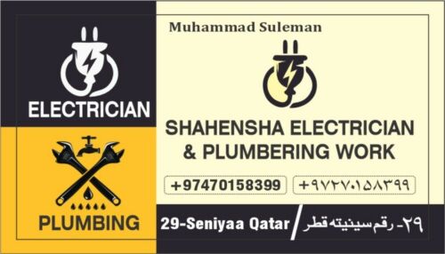 Electrician and Plumber work