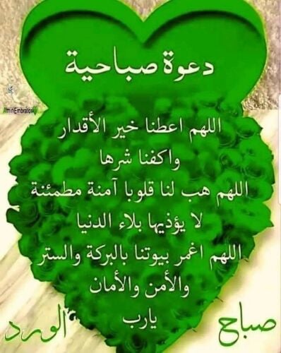 اعلانات جوجل والميديا