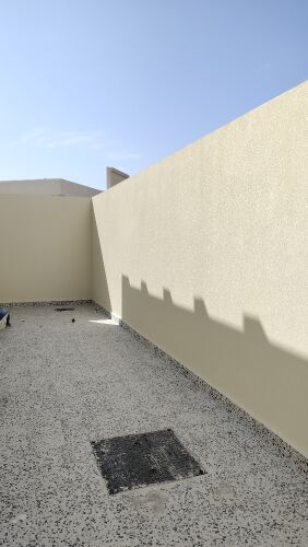 محمود الباشا