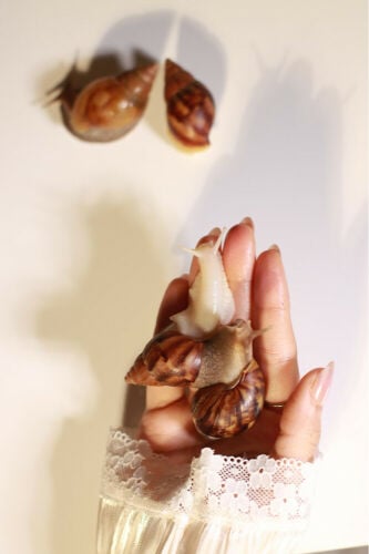 snails