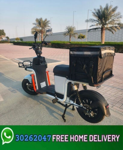Electric scooter