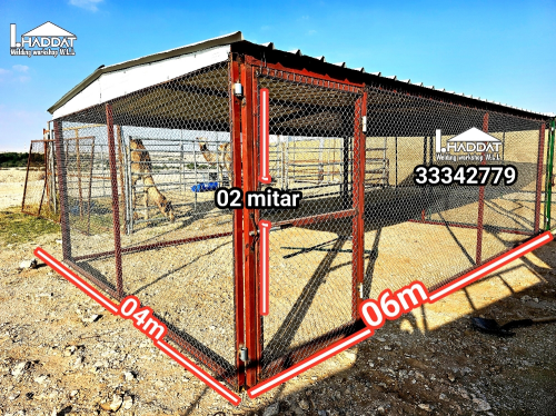Pigeon and chicken coops