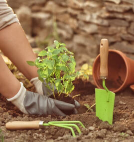 gardening services