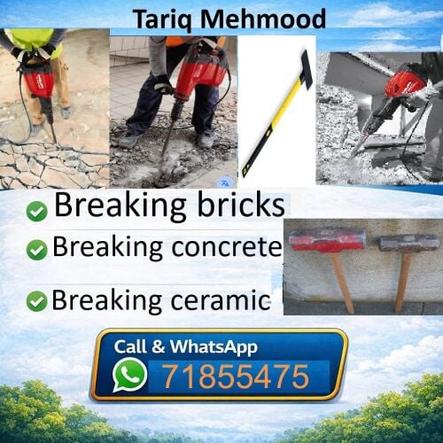 Tariq Mehmood