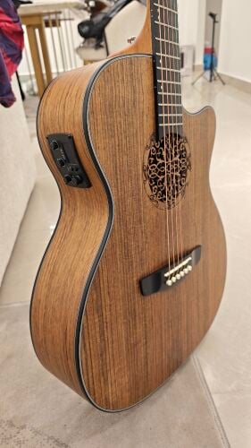 Acoustic Electric Guitar