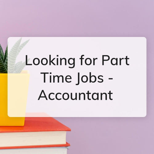 Part time Accountant / Freelancer