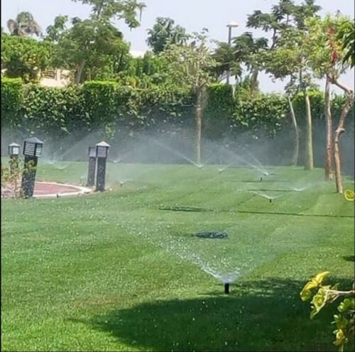 زراعه الحدائق 