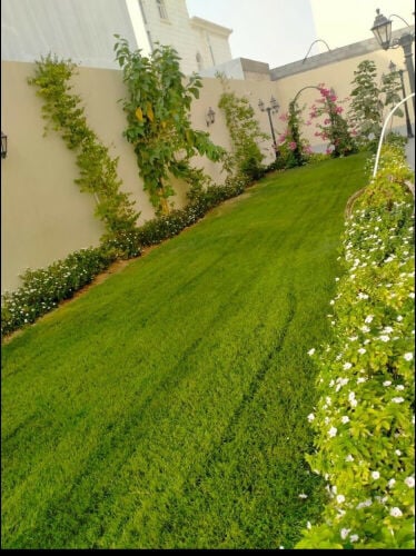 زراعه وتنسيق الحدائق وأحواض الزرع