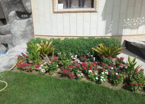 زراعه الحدائق وأحواض الزرع 