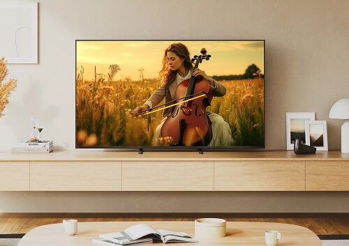 Sony Baravia 3  75 inch 