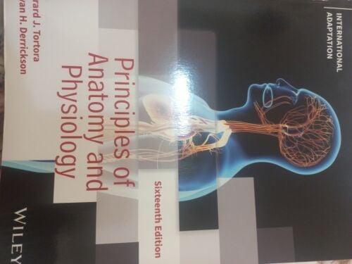 Anatomy book