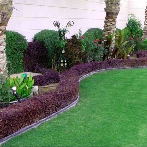 مصمم حدائق 55079950