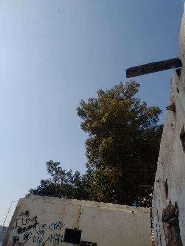 مطلوب شراء