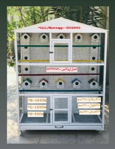Birds Cage
