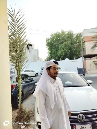 Law Budget Transport service