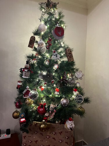 شجرة عيد الميلاد 