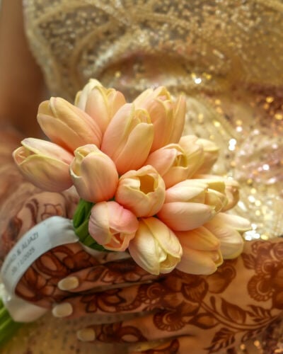 photography and videography 