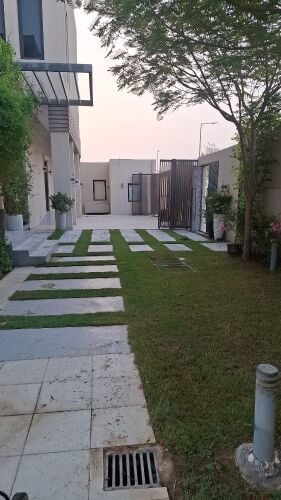 تسميد العشب والنخيل والأشجار والق