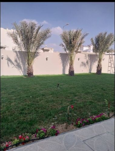توريد وزرعة النخيل