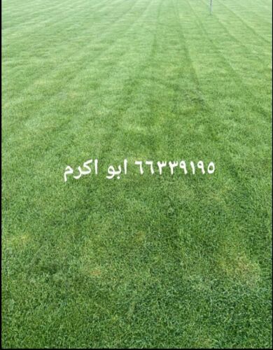 قص العشب