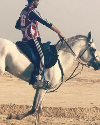حصان ماراثون خط عربي