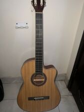 Acoustic guitar