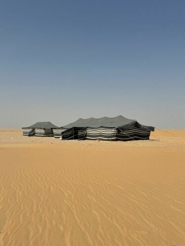 للبيع بيتين شعر 