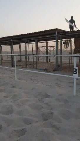 صبره مال حسن