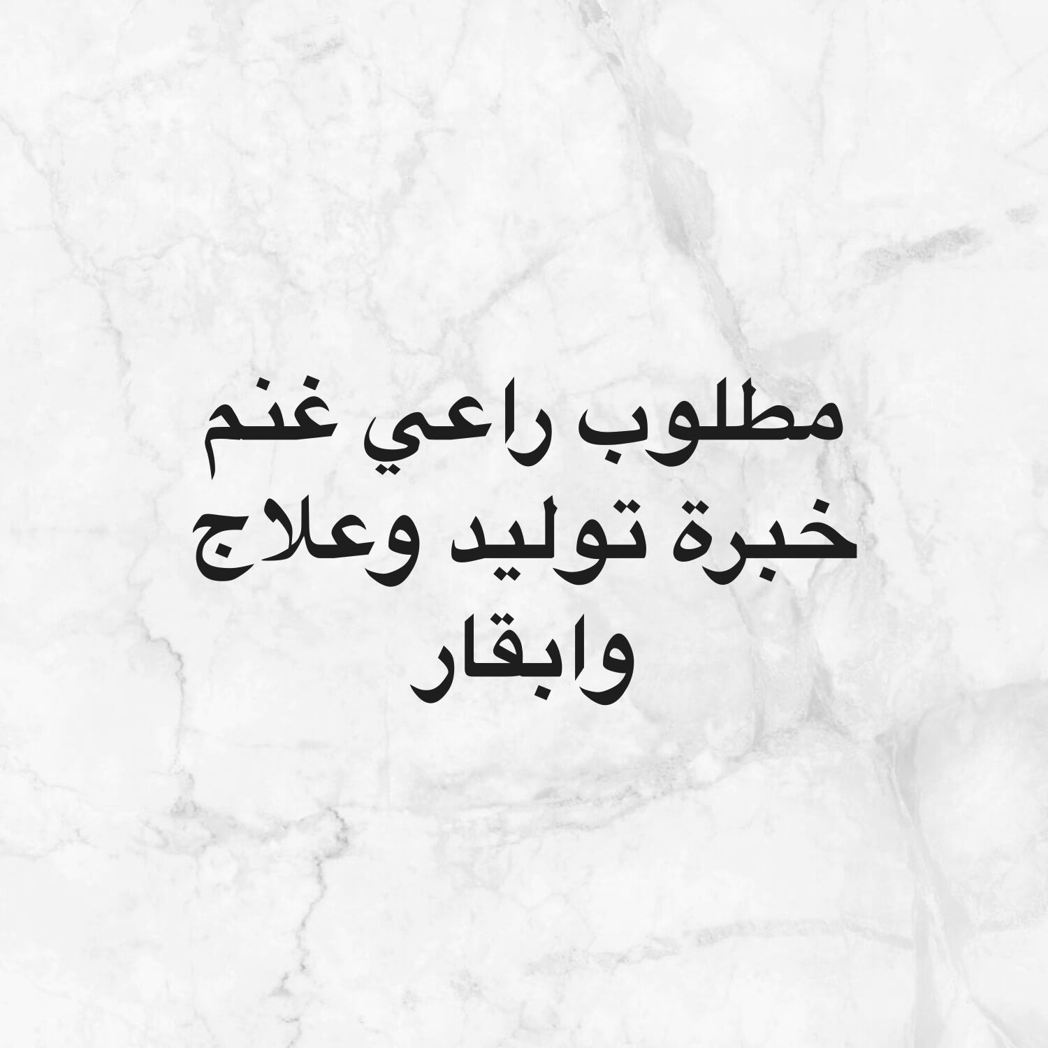 مطلوب راعي غنم واغنام 
