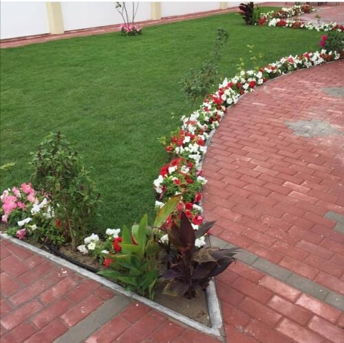 حشيش طبيعي وري وسماد