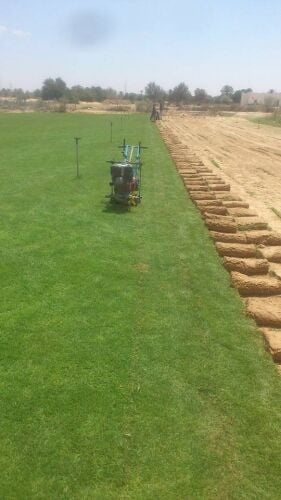 المزارع وتنسيق الحدائق