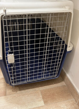 Dog Cage for Sale