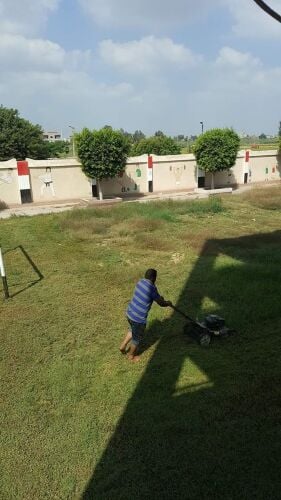 قص وتنظيف الحديقة