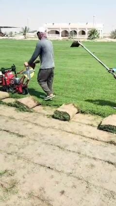 أجود أنواع العشب