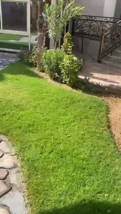 زراعه وديكور