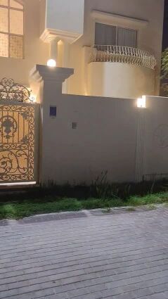 تنظيف وشنطنيا ونخيل