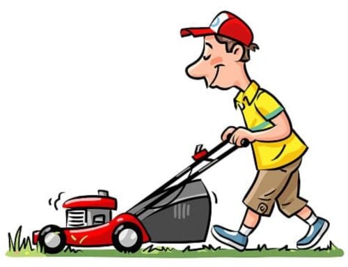 تنظيف حديقه وتنسيق الحدائق