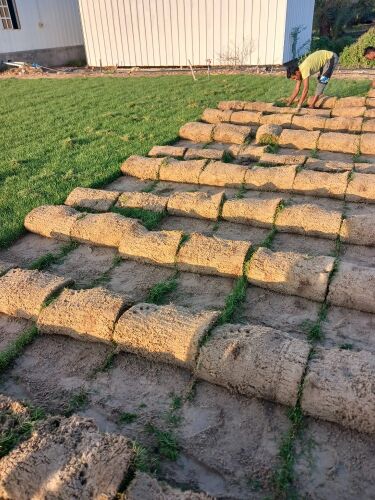 زراعه العشب الطبيعي وطين