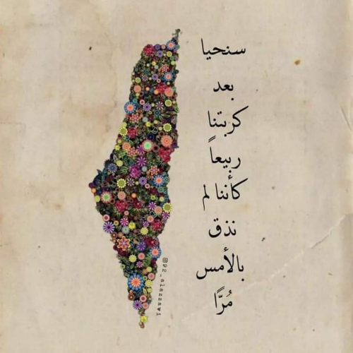 محفظ قرآن كريم وتأسيس أطفال