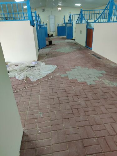 للمقولات الصغيره ولاسطبلاط وكل مستلزمات الفروسيه
