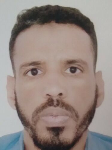محمد سدين الصادق